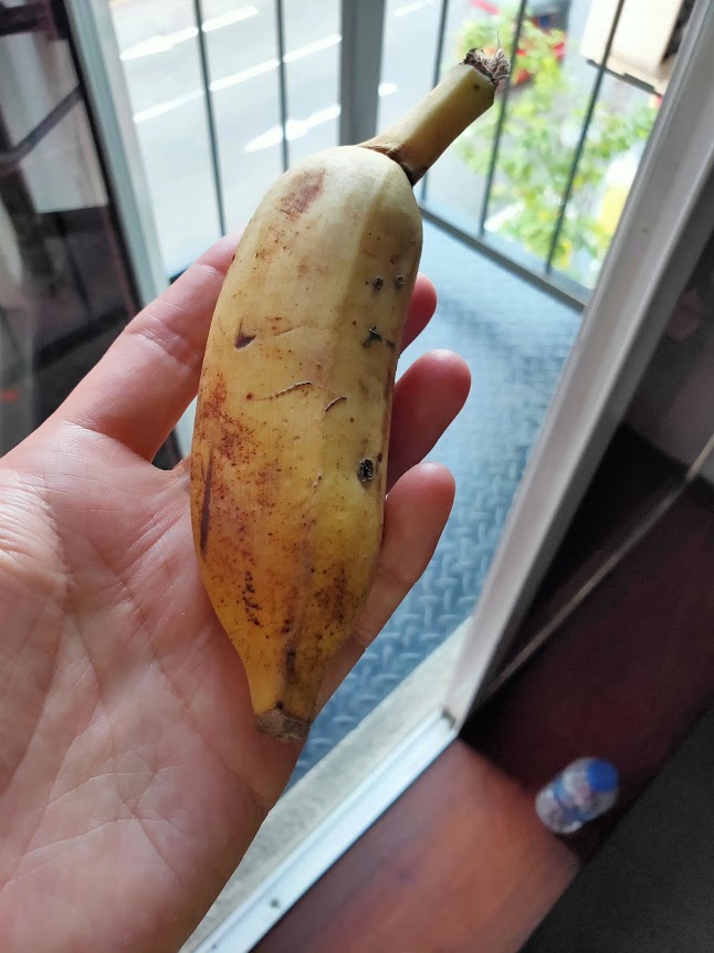 キャンディーインパラホテルで貰ったバナナ1